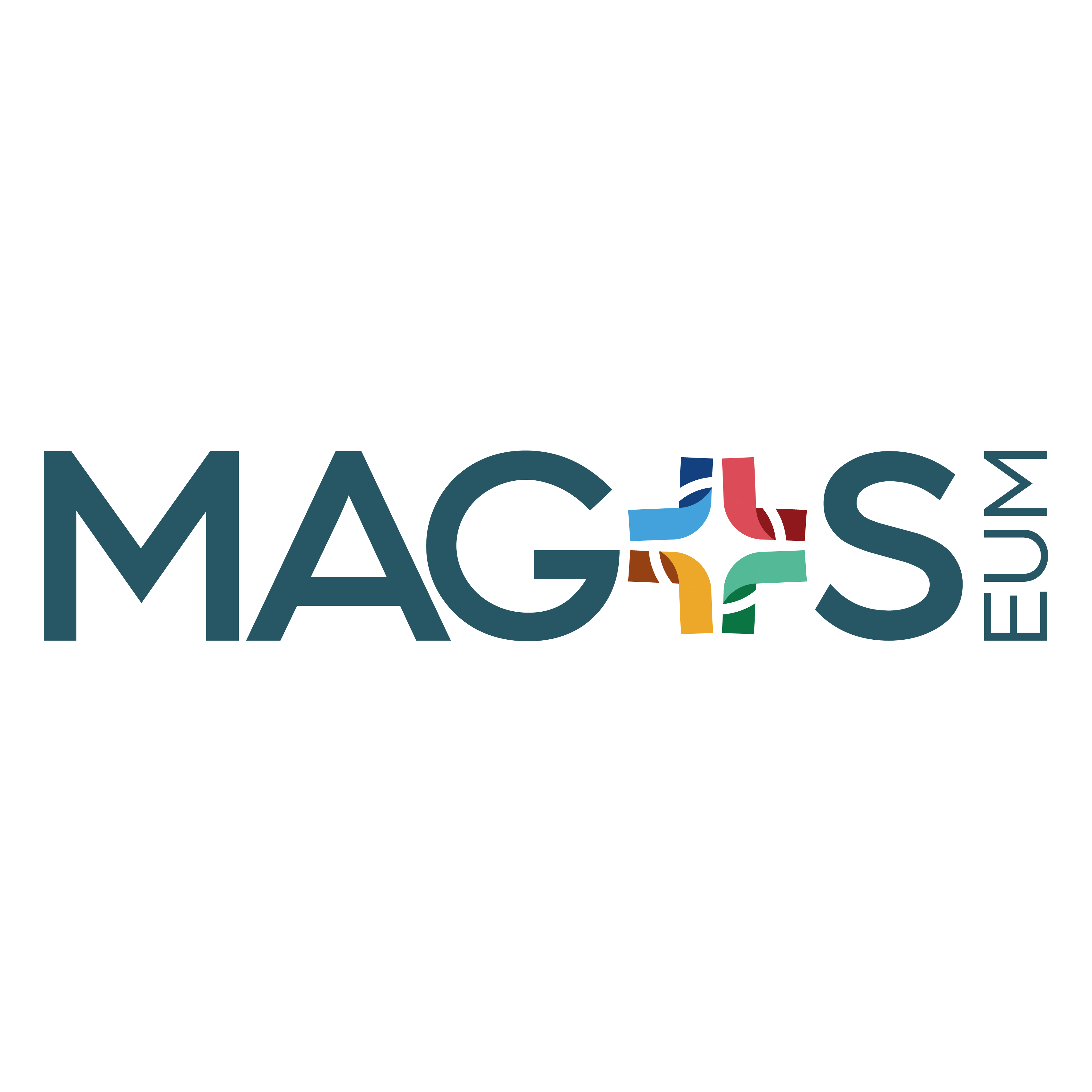 Mags Logo