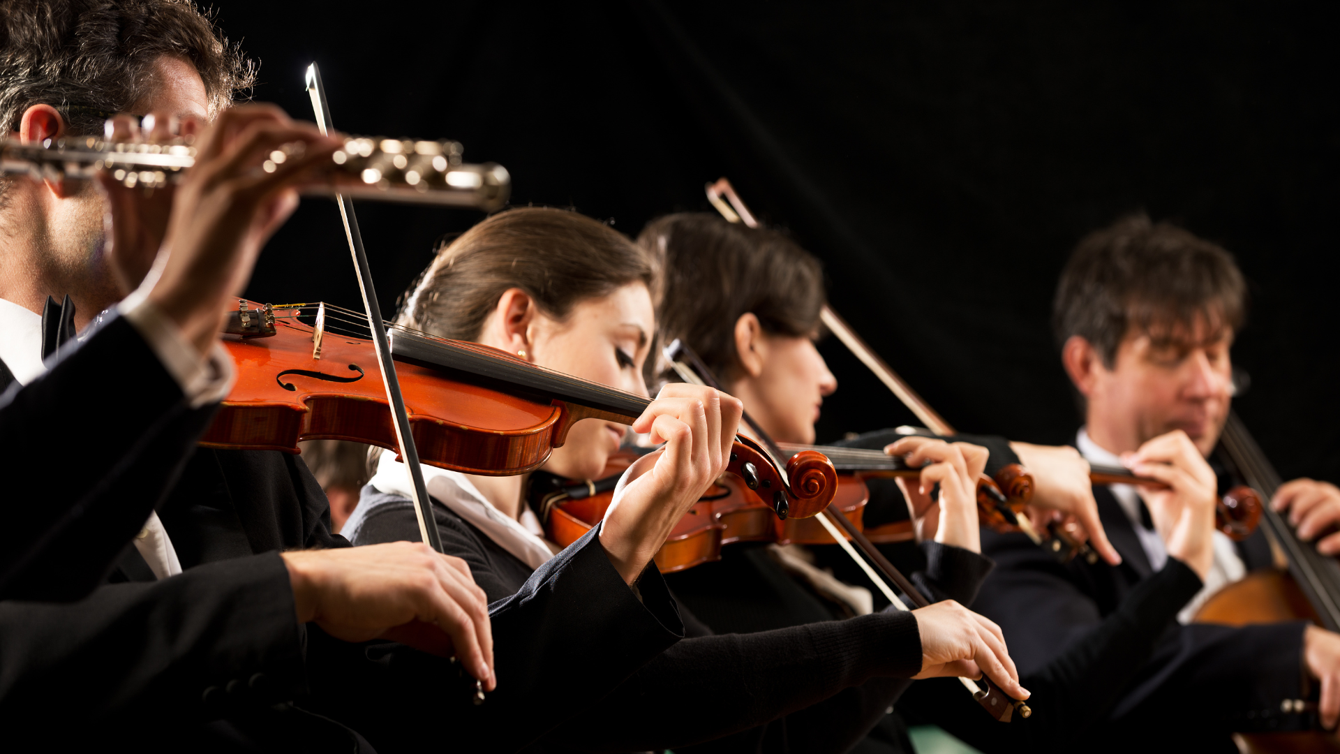 «Harmonias de Esperança», todos os concertos do Jubileu de 2024